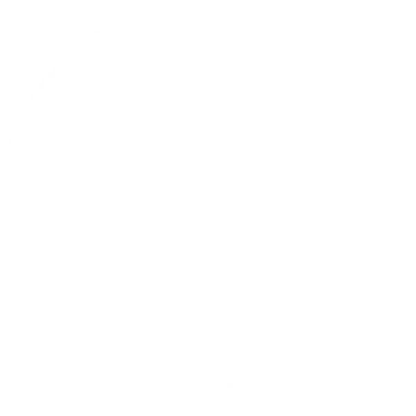 TSM